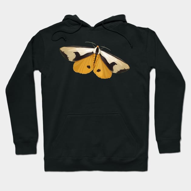 Clymene Moth - showin' and hidin' Hoodie by John Himmelman